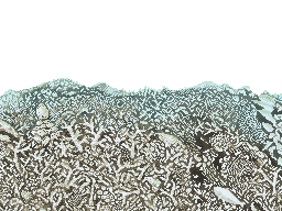 A seabed full of bleached coral and a dead fish.